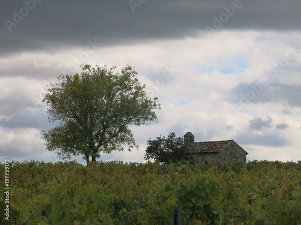 Fototapeta PETITE MAISON DS LA PRAIRIE