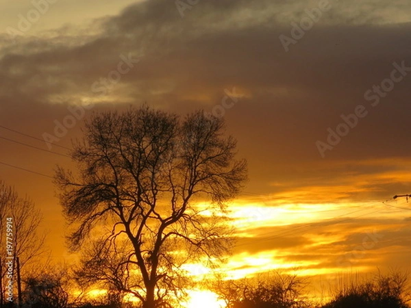 Fototapeta coucher de soleil