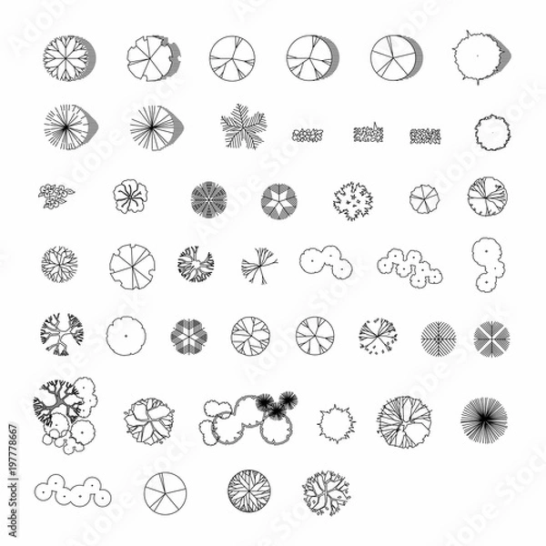 Obraz Top view and side view, set of graphics trees elements outline symbol for architecture and landscape design drawing. Vector illustration