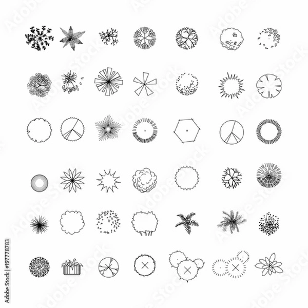Obraz Top view and side view, set of graphics trees elements outline symbol for architecture and landscape design drawing. Vector illustration