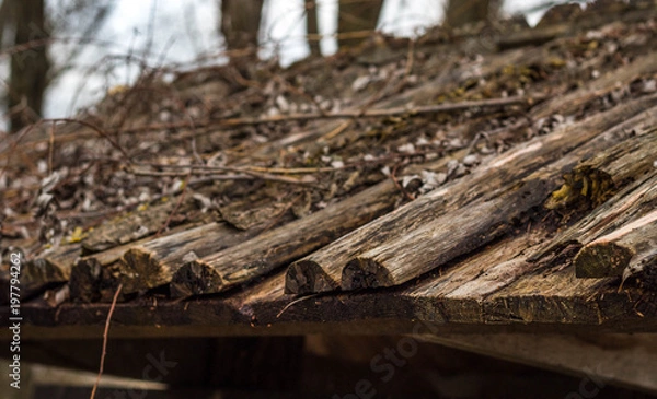 Obraz Wooden Roof