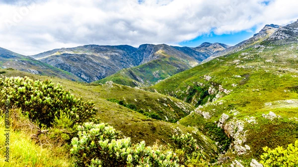 Fototapeta Spectacular View of Detoitsriver Gorge near the highest point of Franschhoek Pass, or Lambrechts Road, which runs between the towns of Franschhoek and Villiersdorp in the Western Cape of South Africa