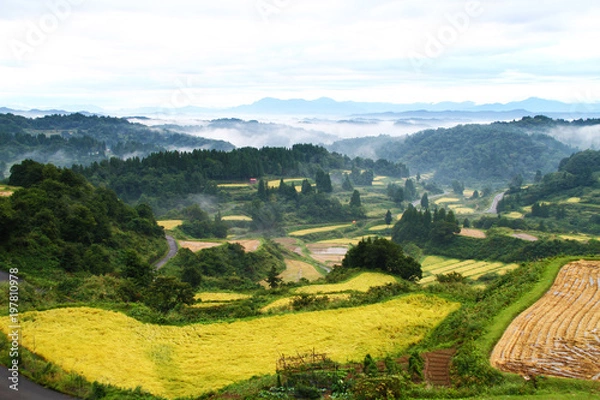 Obraz 星峠の千枚田