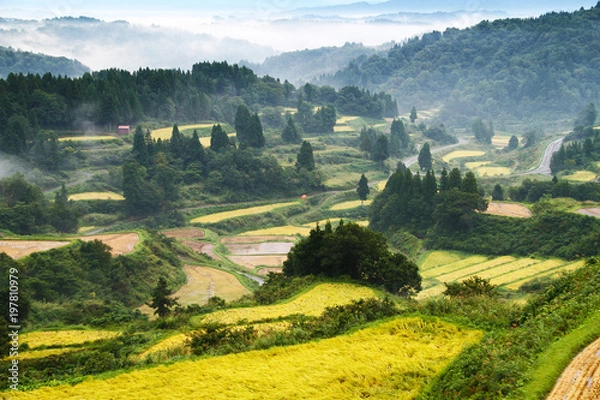 Obraz 星峠の千枚田