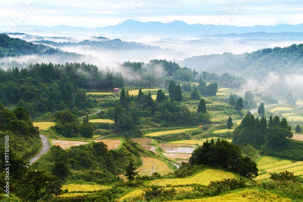 Obraz 星峠の千枚田