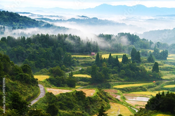 Fototapeta 星峠の千枚田