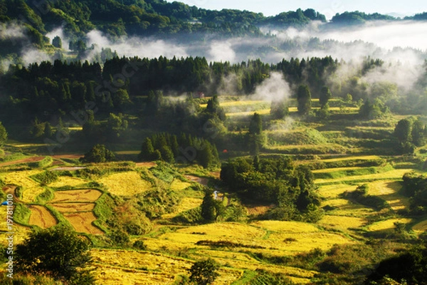 Fototapeta 星峠の千枚田