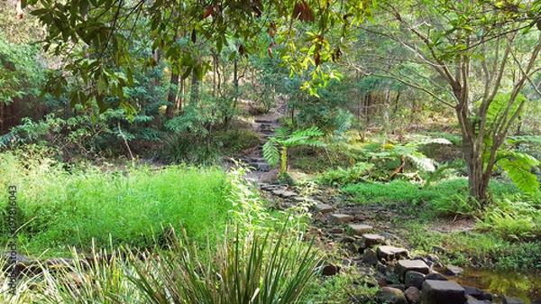 Fototapeta Path in the woods
