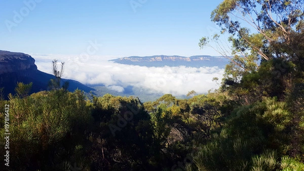 Fototapeta The "Blue Mountains" Above Clouds
