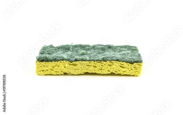 Obraz Yellow and green dry hard sponge