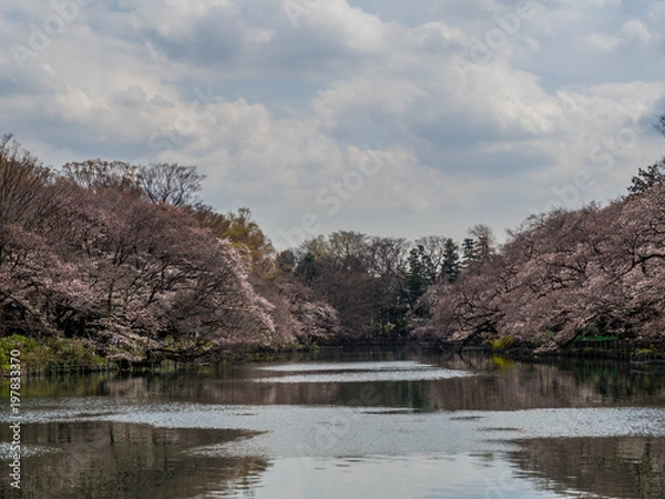 Obraz OLYMPUS DIGITAL CAMERA