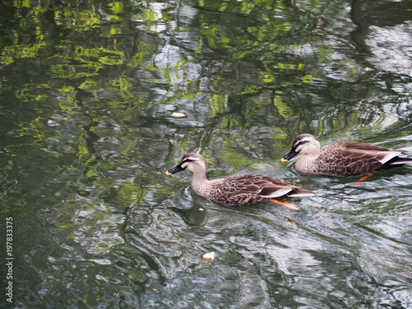 Obraz OLYMPUS DIGITAL CAMERA