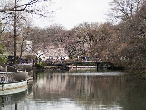 Fototapeta OLYMPUS DIGITAL CAMERA