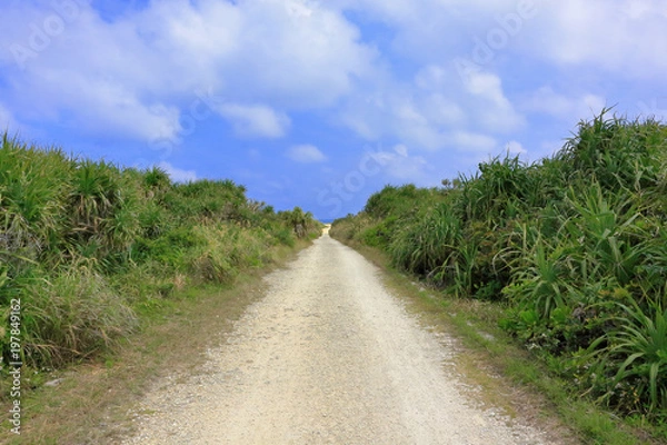 Fototapeta カベール岬への道