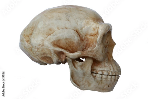 Obraz stojący mężczyzna