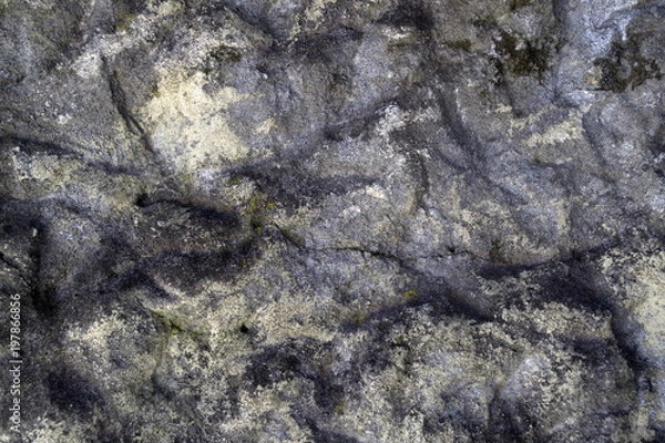 Fototapeta Old grunge concrete texture. Aged concrete background.