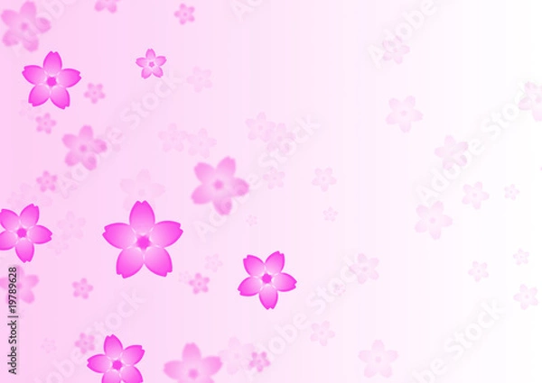 Fototapeta 舞う桜