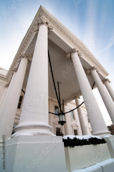 Obraz The White House