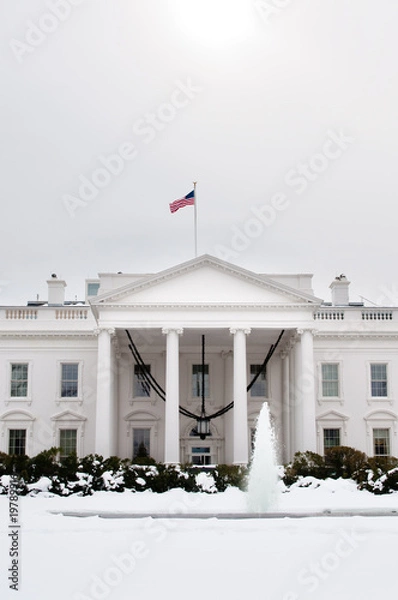 Obraz The White House