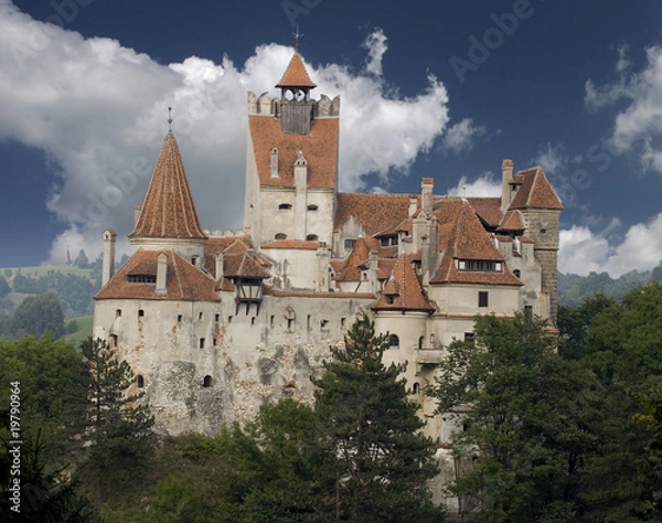 Obraz Dracula Castle from Transylvania