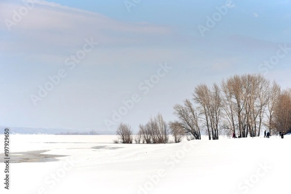 Fototapeta Trees on the shallows of a frozen river. Winter sunny day. Ice and snow.