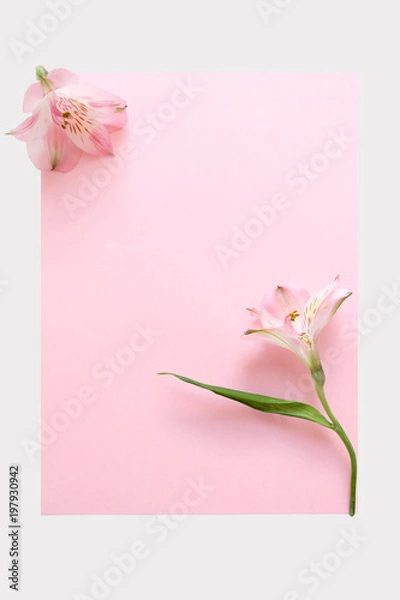 Fototapeta Vertical Minimal Light Pink and White Composition Gentle Flower Paper Blank Card Concept of Beauty Women Fashion Cosmetics Open Space Text Flat Lay Top View Frame Mock Up
