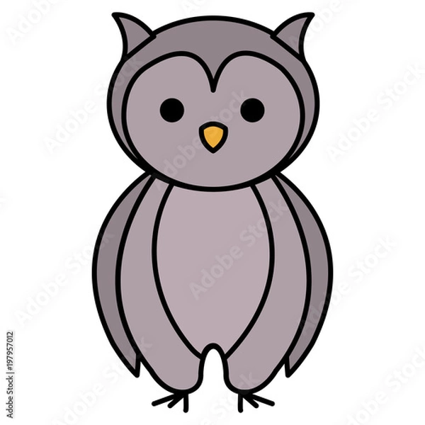 Obraz cute and tender owl vector illustration design
