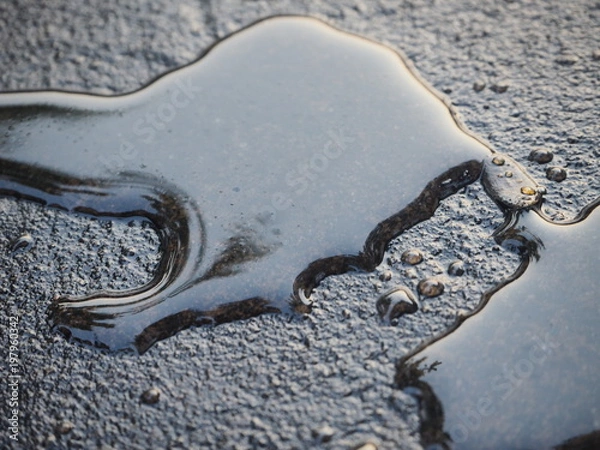 Obraz engine oil drops on the floor make pollution for our world