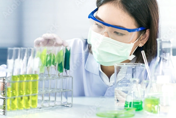 Fototapeta Biotechnology concept with scientist in lab