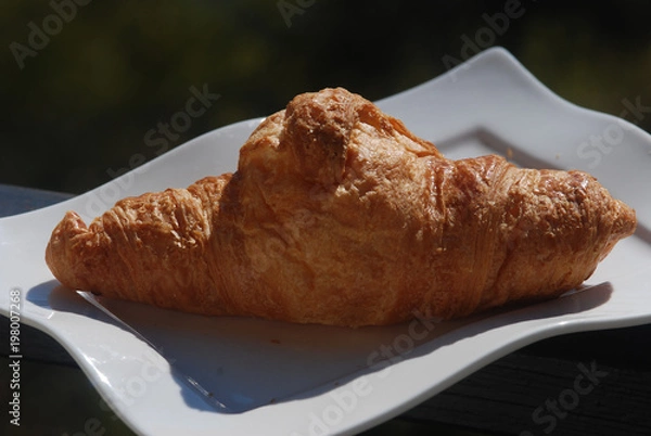 Obraz Croissant