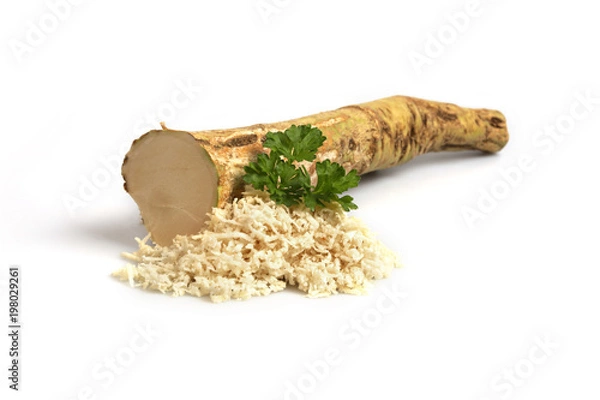 Obraz horseradish 2