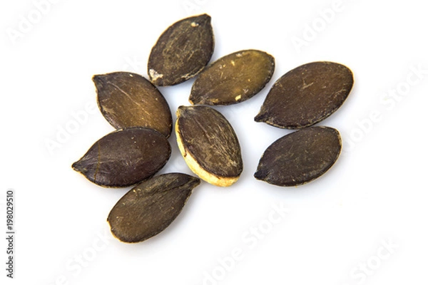 Obraz pumpkin seeds 3