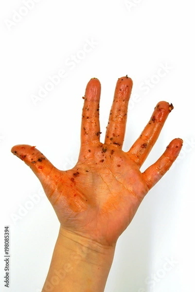 Obraz Dirty greasy child hand after eating sauced food
