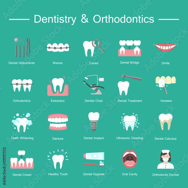 Fototapeta Teeth, dentistry medical flat icons.