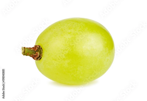 Fototapeta One grape isolated on white background closeup