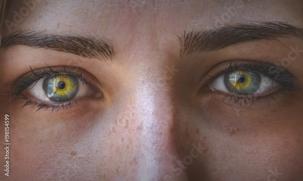 Fototapeta Sguardo penetrante