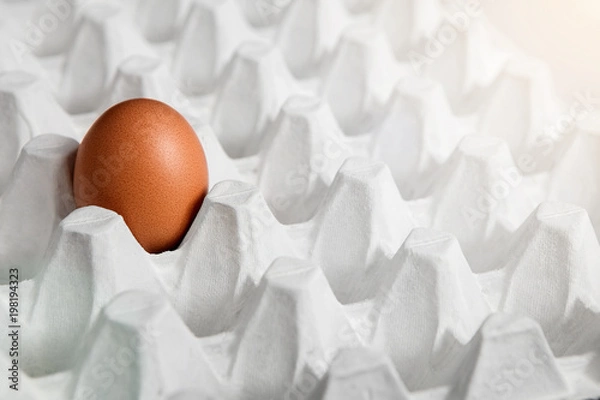 Obraz egg in a tray