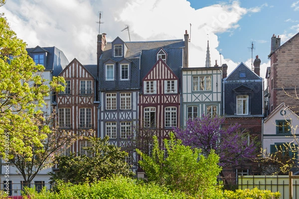 Fototapeta Picturesque half-timbered facades of old houses surrounded with flowering trees in historical center of Rouen in the fine spring evening, Normandy, France
