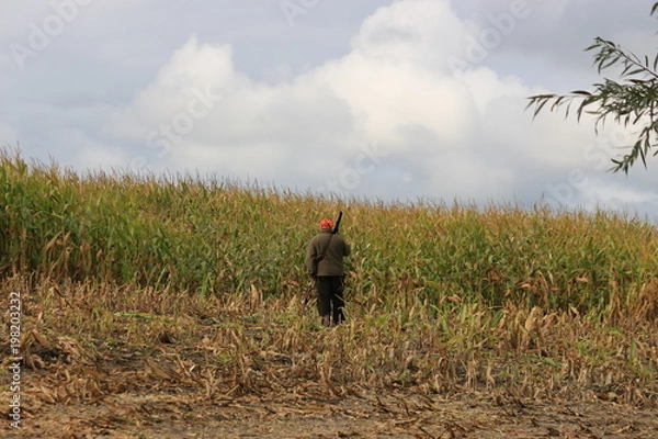Obraz Warten auf die Wildschweine