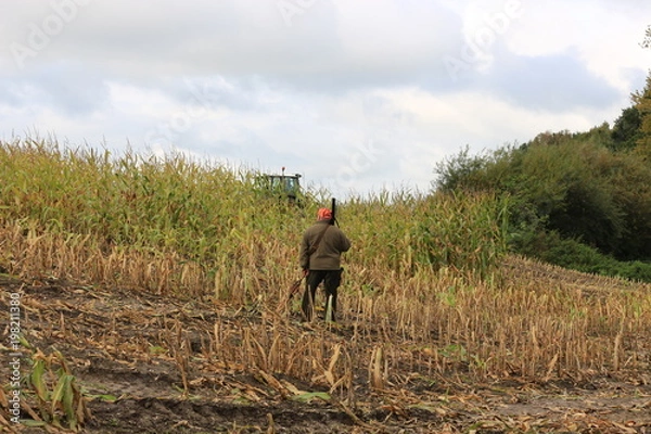 Obraz Wildschweinalarm