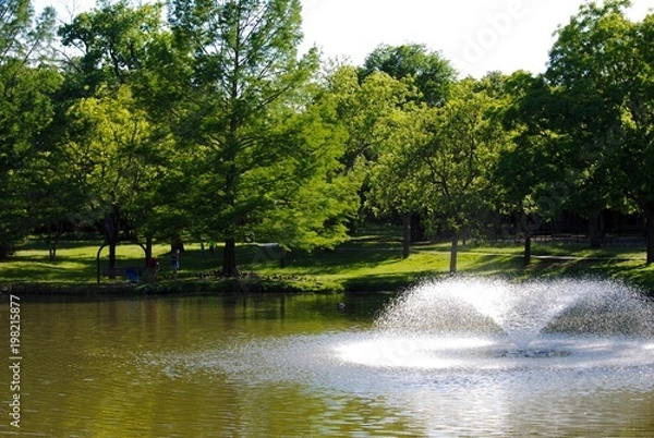 Obraz Lake Fountain