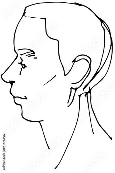 Fototapeta  vector sketch of a beautiful man profile