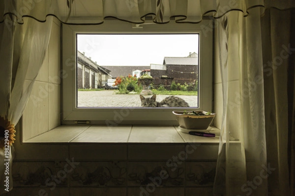 Fototapeta A cat sitting under the rain in the farmyard  and looking to  the window of the cellar  home. The end of the summer . Podlasie, Poland.