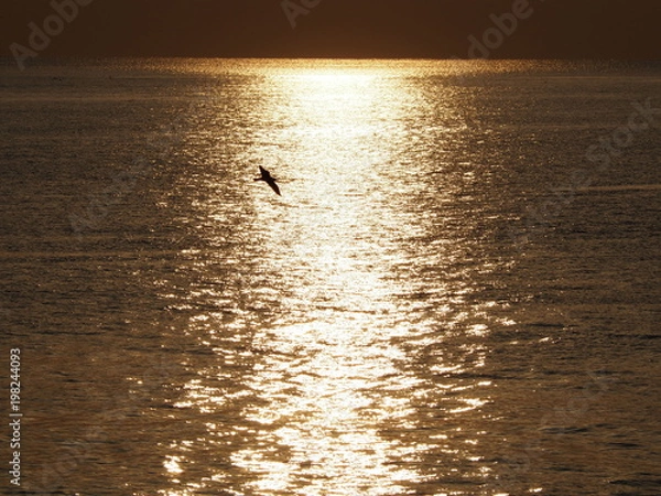 Obraz 夜明けの海