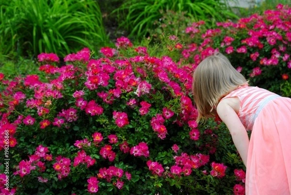 Obraz Smell the Flowers