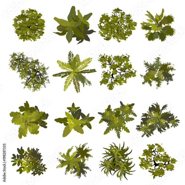 Obraz Trees top view for landscape vector illustration.