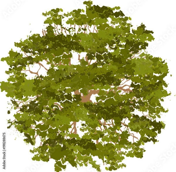 Obraz Trees top view for landscape vector illustration.