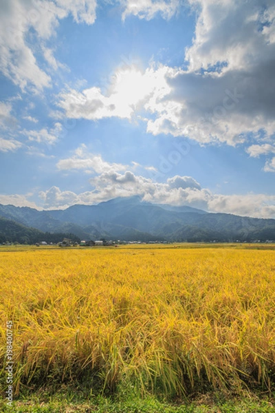 Fototapeta 秋の南魚沼の田園の景色