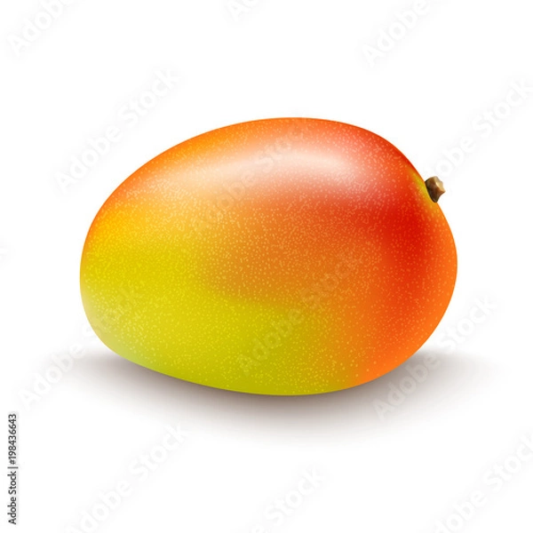 Fototapeta mango fruit isolated on white background