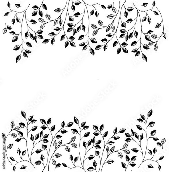 Obraz Растения и листья. Графическая иллюстрация с травами. Растения